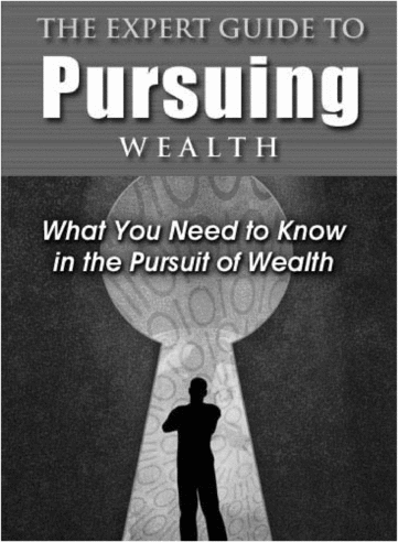 Product picture The Experts guide to Pursuing Wealth